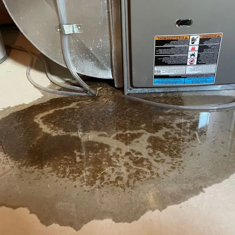 Pipe Burst and Leak Restoration in New Kensington, PA